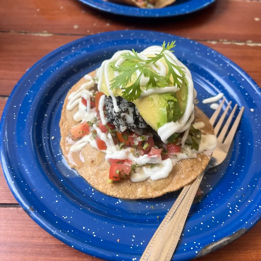Ceviche Tostada
