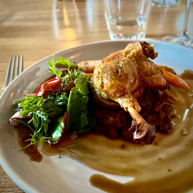 Duck Leg