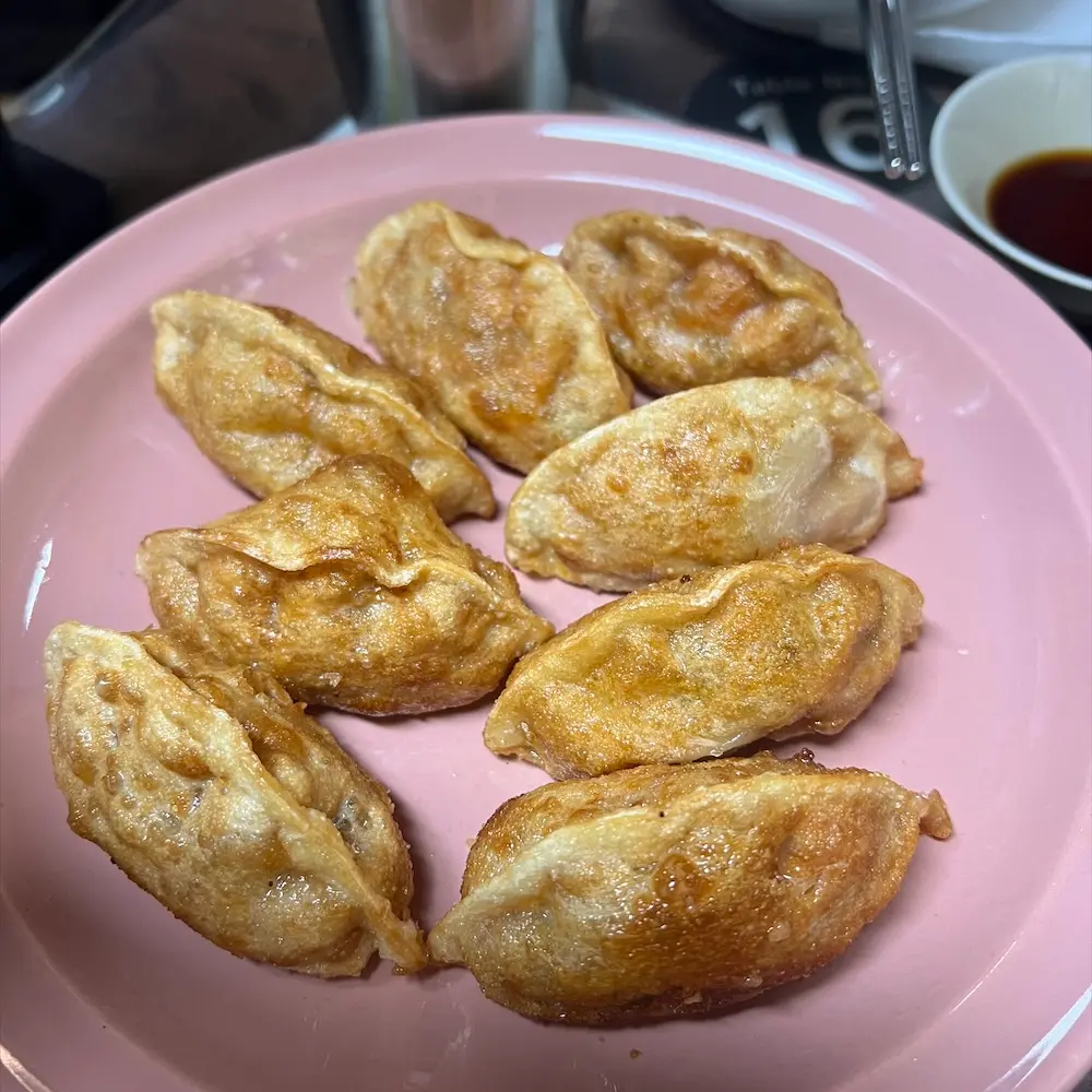 Fried Vegan Dumplings